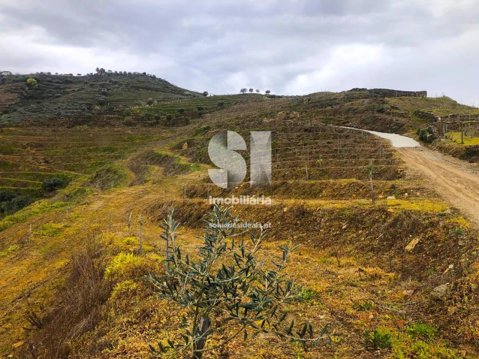 Terreno para Venda em Candedo Foto 20