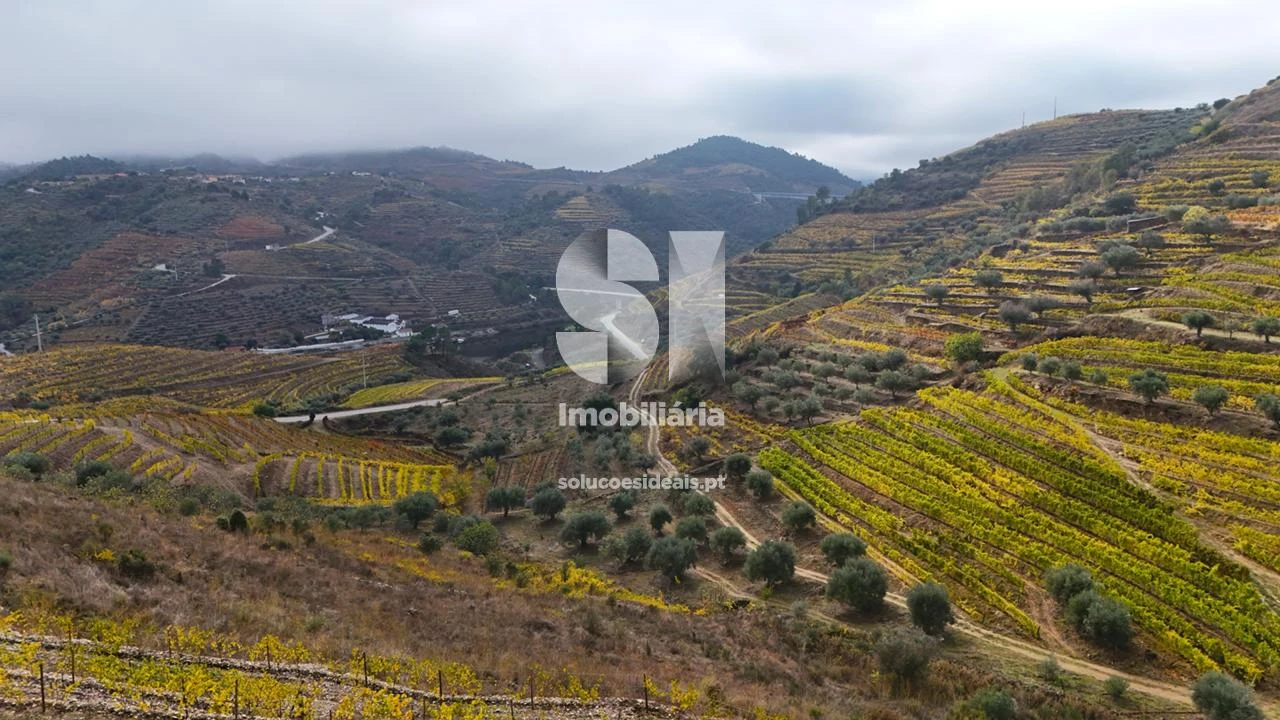 Terreno para Venda em Candedo Foto 22