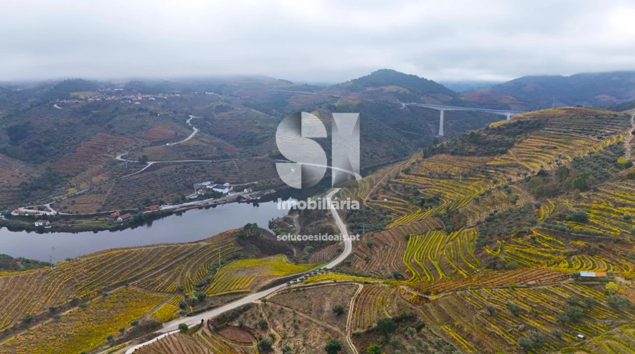 Terreno para Venda em Candedo Foto 29