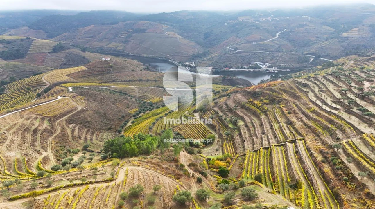 Terreno para Venda em Candedo Foto 24