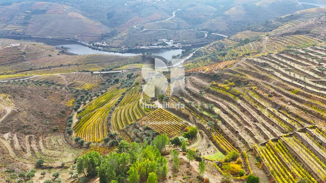 Terreno para Venda em Candedo Foto 1