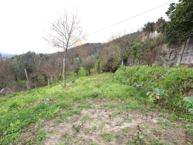 Moradia T3 para Venda em Refoios do Lima Foto 42