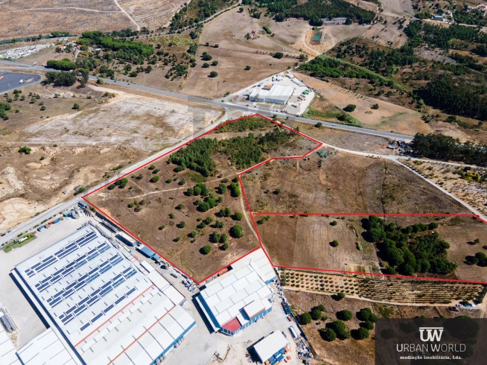 Terreno Comércio / Armazém para Venda em Aveiras de Cima Foto 3