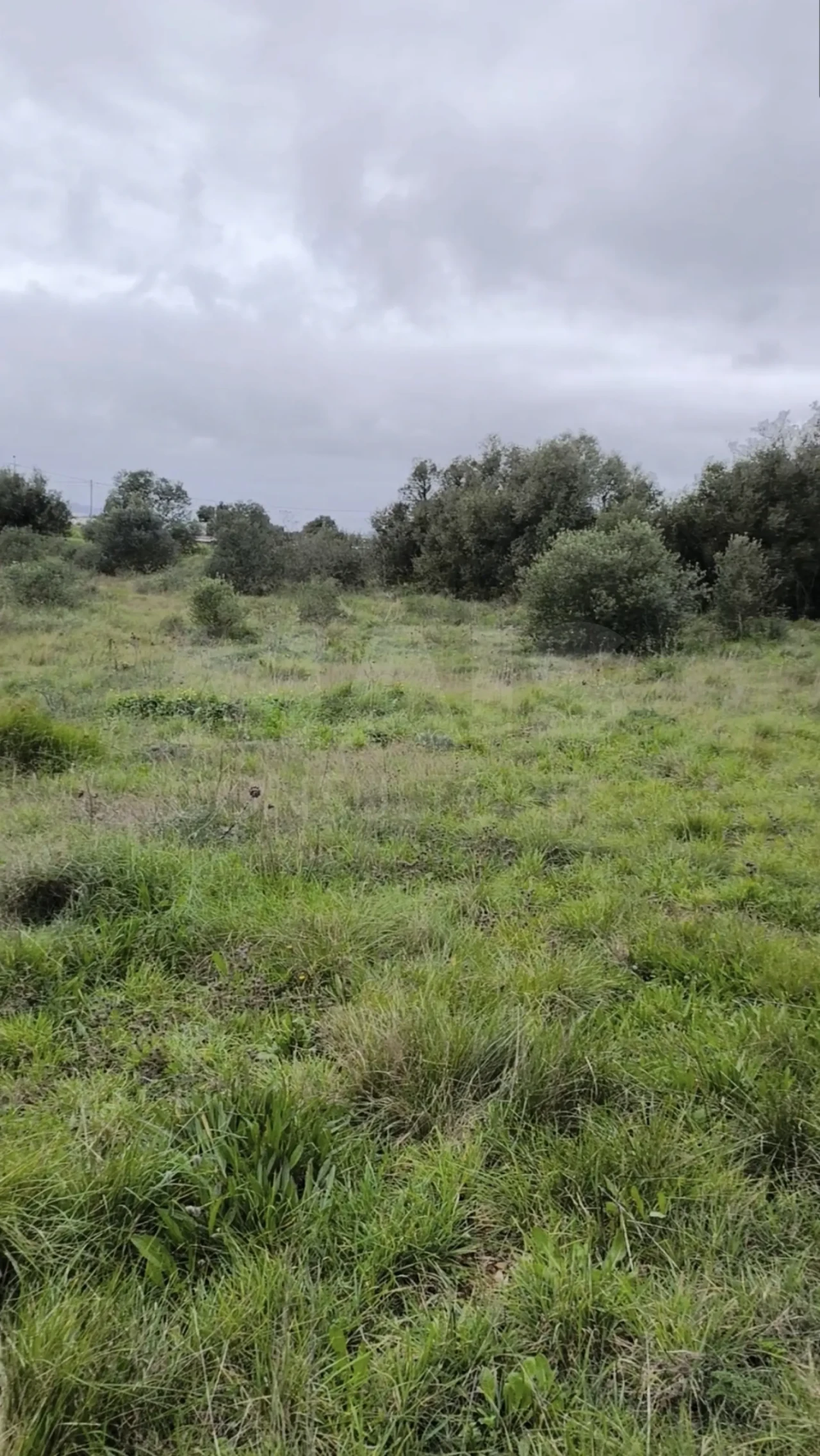 Terreno para Venda em Algueirão-Mem Martins Foto 4