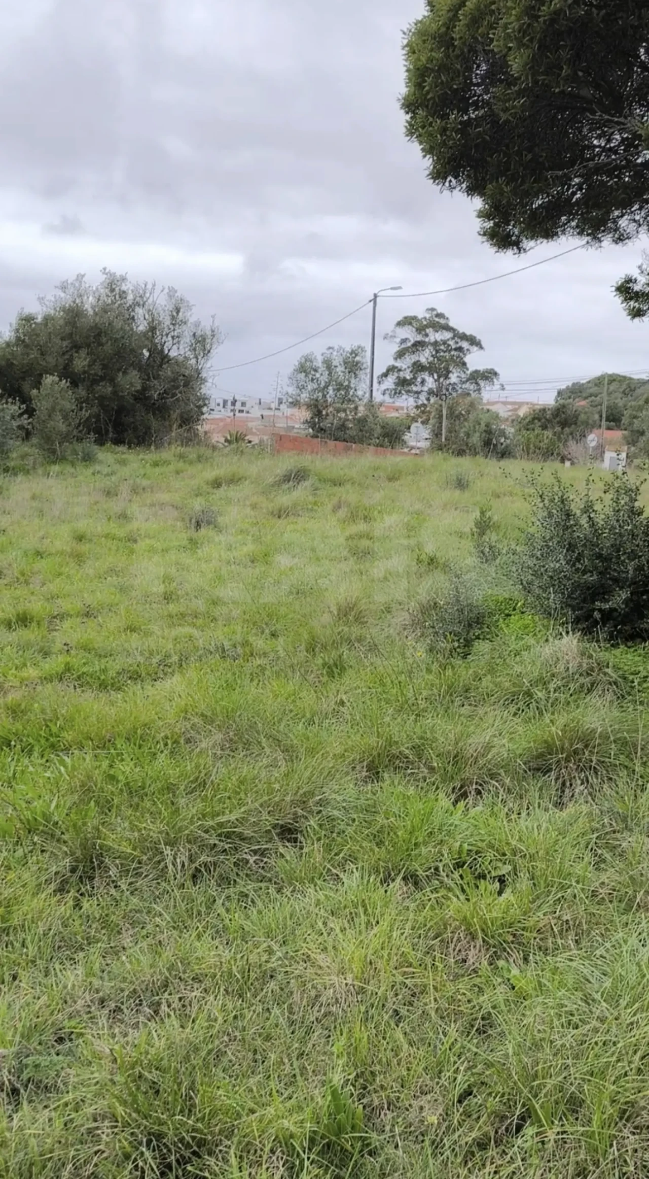 Terreno para Venda em Algueirão-Mem Martins Foto 5