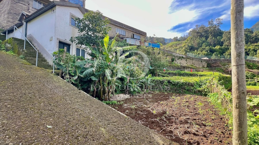 Moradia T1 para Venda em São Vicente Foto 21