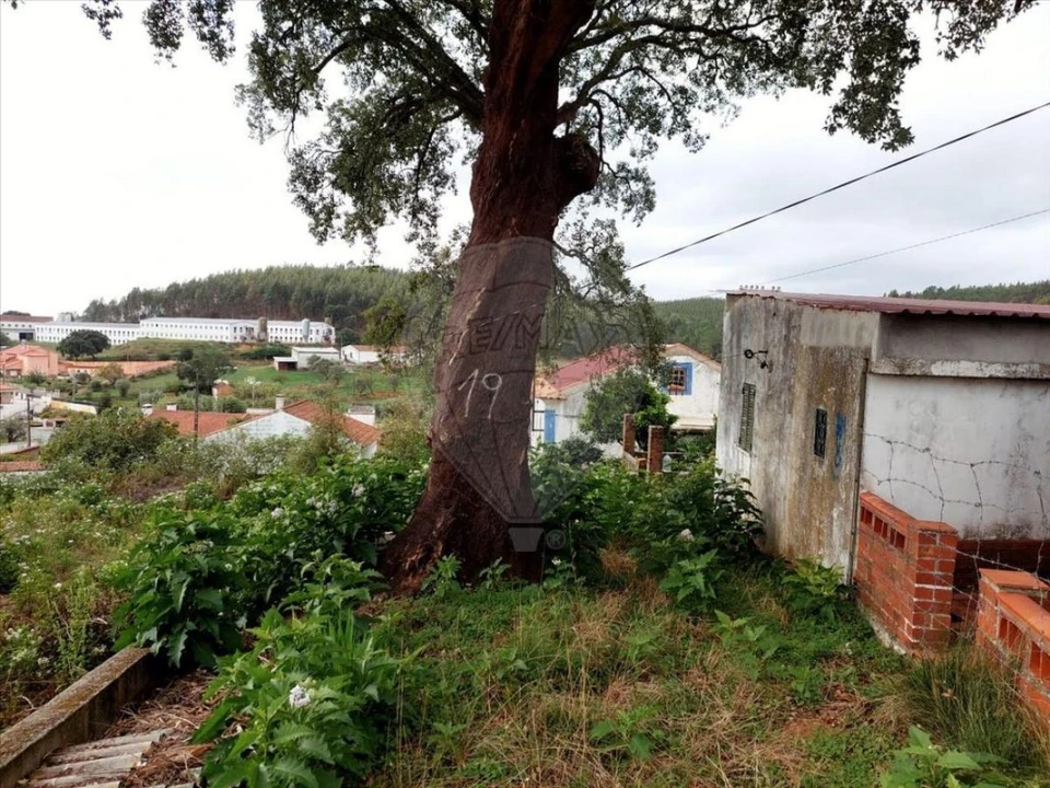 Armazém para Venda em Praia do Ribatejo Foto 5
