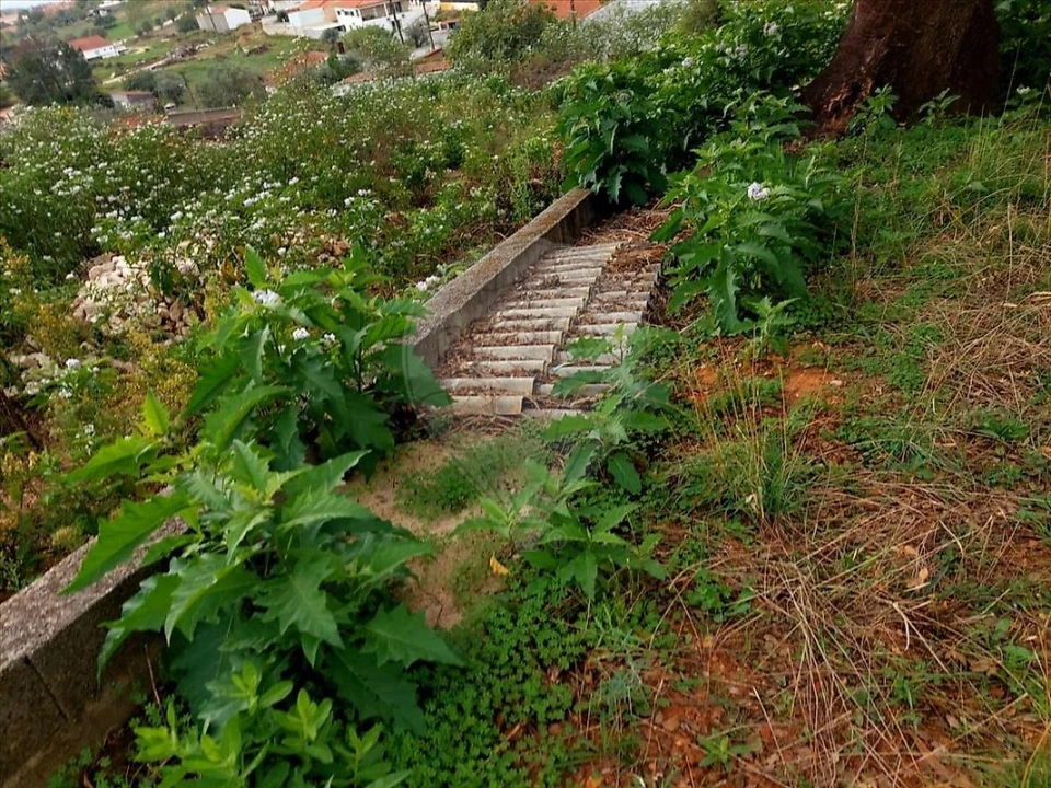 Armazém para Venda em Praia do Ribatejo Foto 4