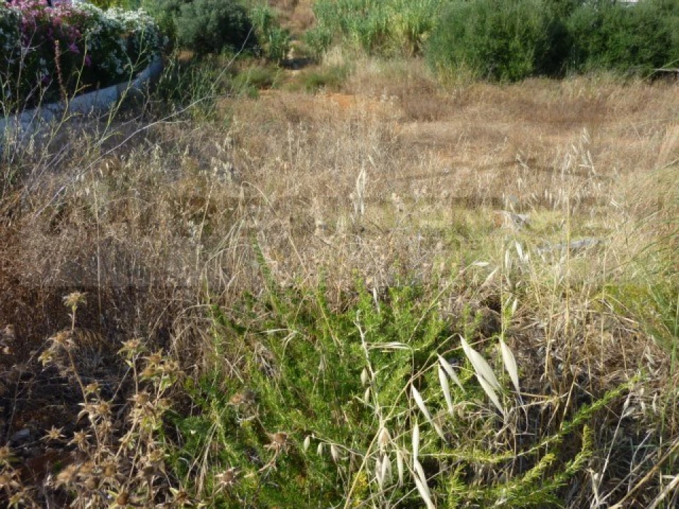 Terreno para Venda em Albufeira e Olhos de Água Foto 4