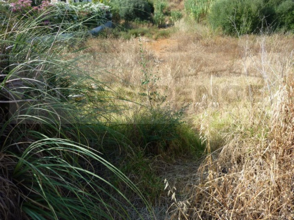 Terreno para Venda em Albufeira e Olhos de Água Foto 6