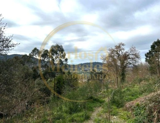 Terreno para Venda em Ribeira do Neiva Foto 4