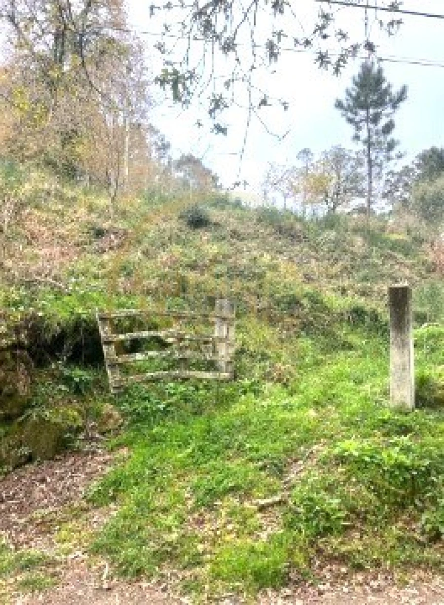 Terreno para Venda em Ribeira do Neiva Foto 6
