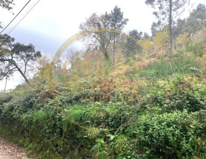 Terreno para Venda em Ribeira do Neiva Foto 7