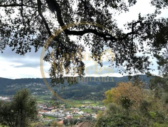 Terreno para Venda em Ribeira do Neiva Foto 9