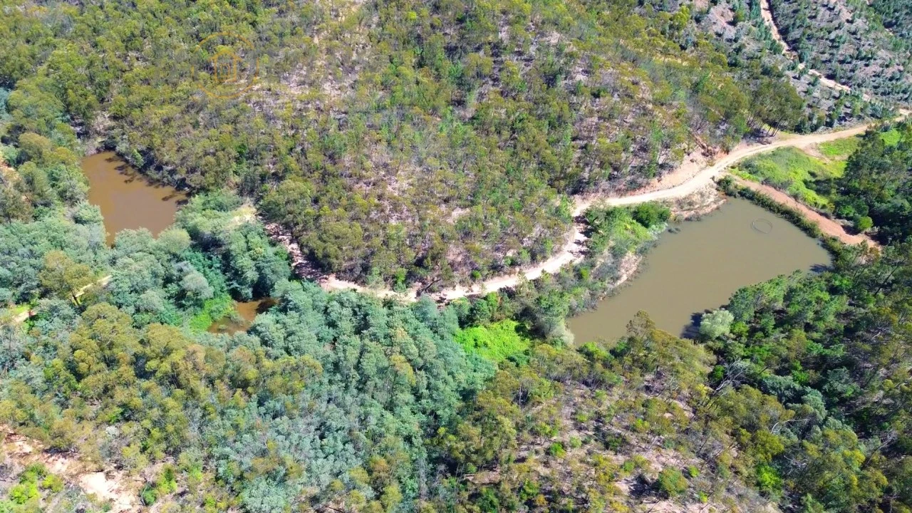Terreno Agricola ou Rústico para Venda em Marmelete Foto 2