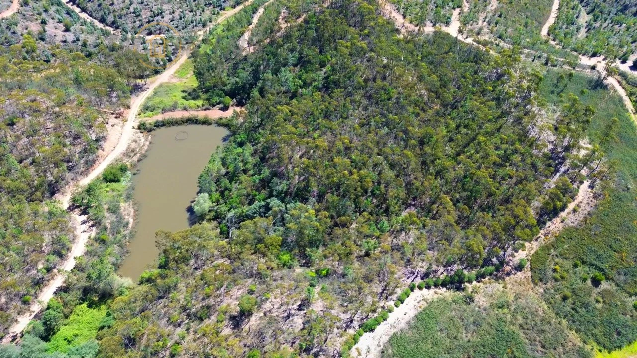 Terreno Agricola ou Rústico para Venda em Marmelete Foto 1