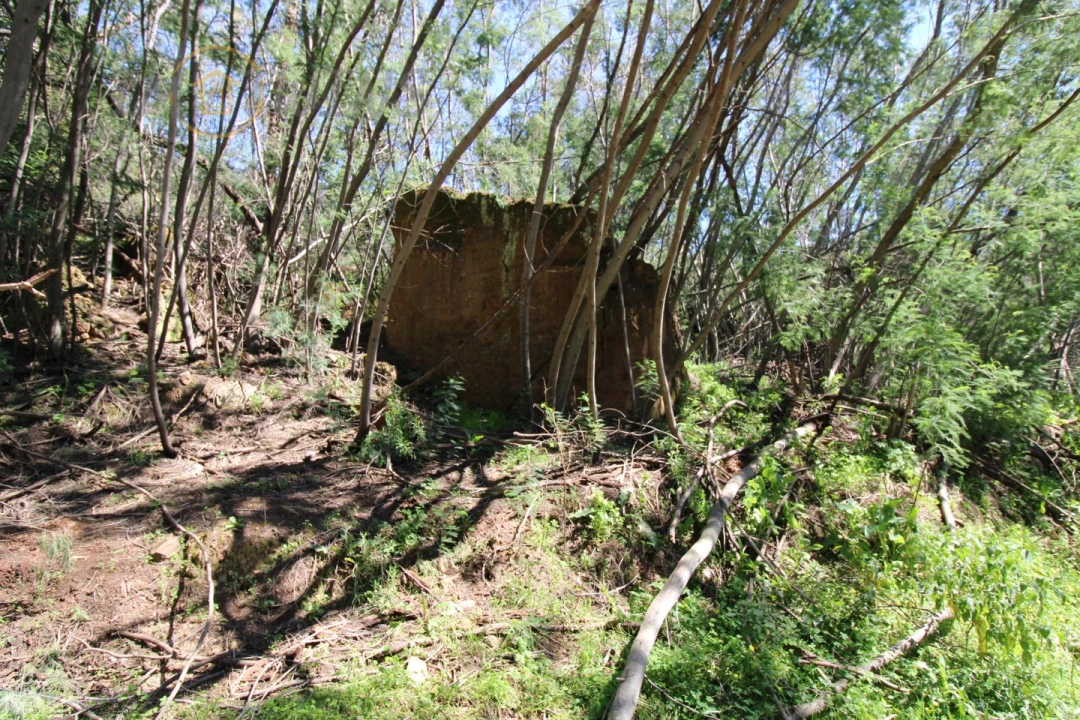 Terreno Agricola ou Rústico para Venda em Marmelete Foto 5