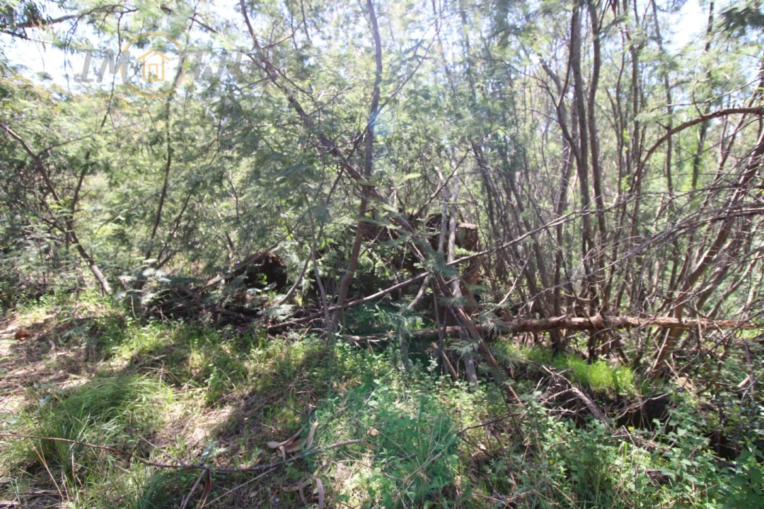 Terreno Agricola ou Rústico para Venda em Marmelete Foto 10