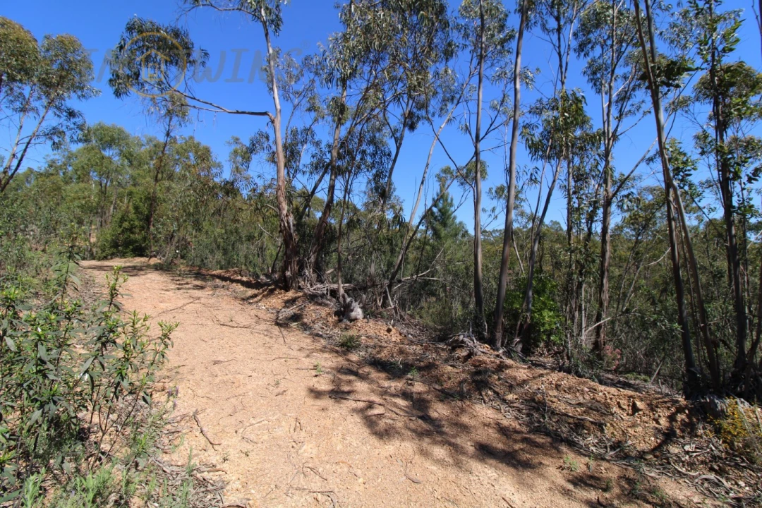 Terreno Agricola ou Rústico para Venda em Marmelete Foto 12