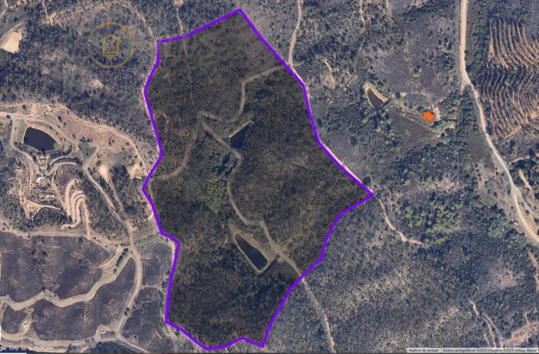 Terreno Agricola ou Rústico para Venda em Marmelete Foto 14