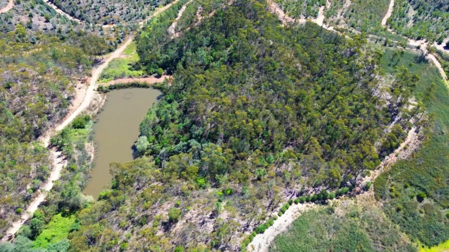 Terreno Agricola ou Rústico para Venda em Marmelete Foto 1