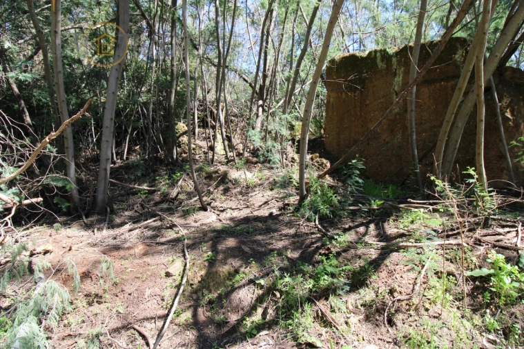 Terreno Agricola ou Rústico para Venda em Marmelete Foto 4
