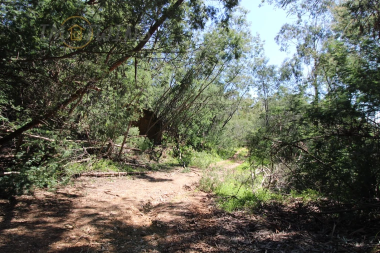 Terreno Agricola ou Rústico para Venda em Marmelete Foto 6