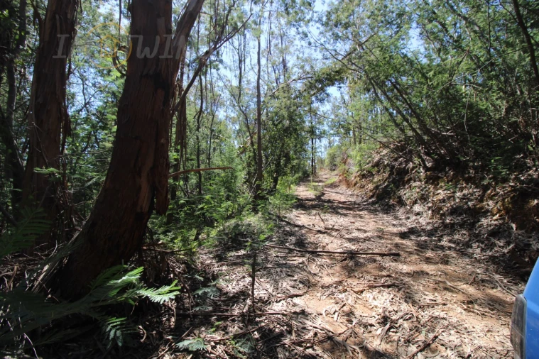 Terreno Agricola ou Rústico para Venda em Marmelete Foto 9