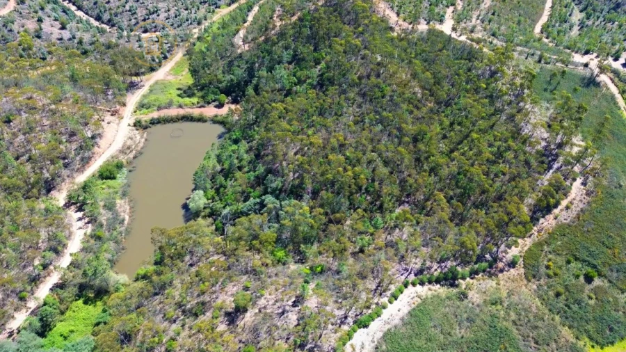 Terreno Agricola ou Rústico para Venda em Marmelete