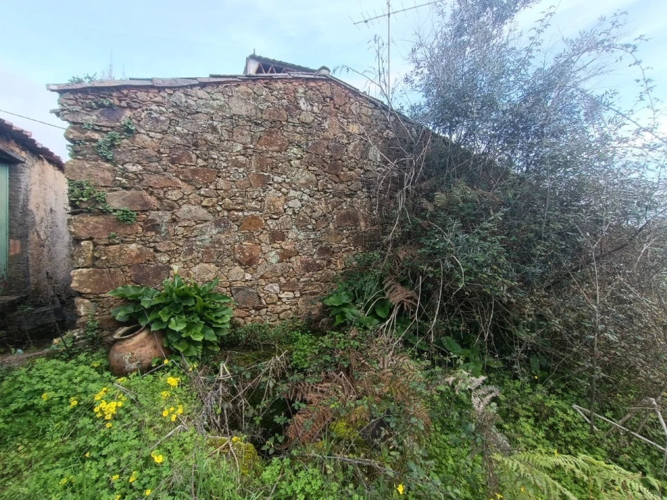 Quinta T3 para Venda em Santiago de Montalegre Foto 19