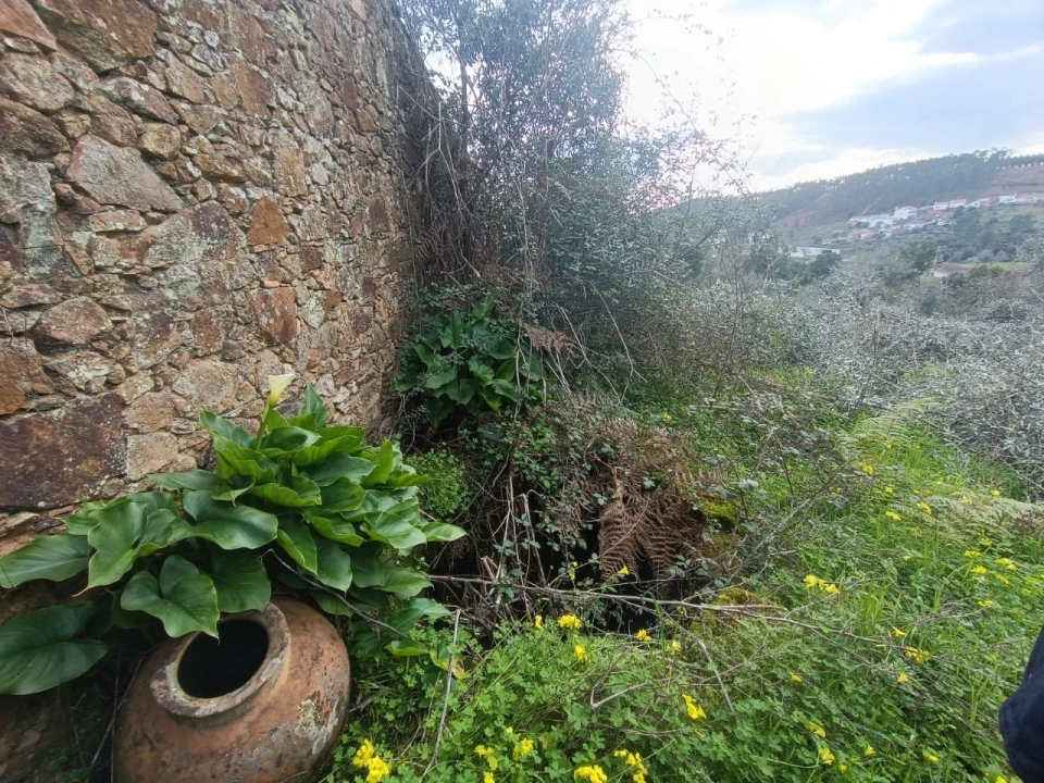 Quinta T3 para Venda em Santiago de Montalegre Foto 23