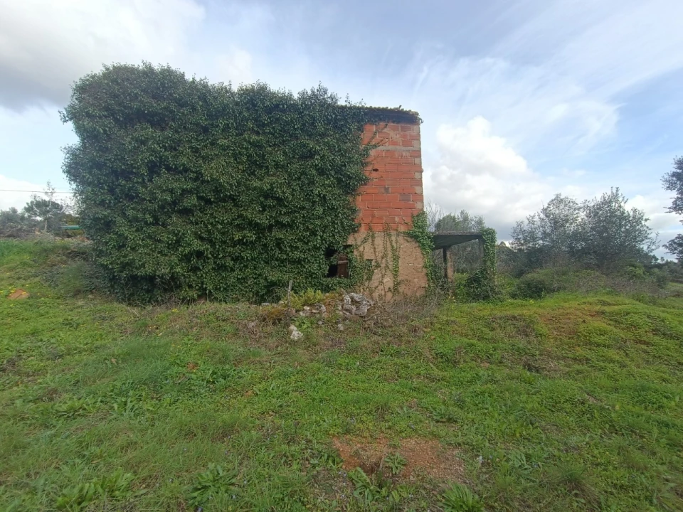 Quinta T3 para Venda em Santiago de Montalegre Foto 26