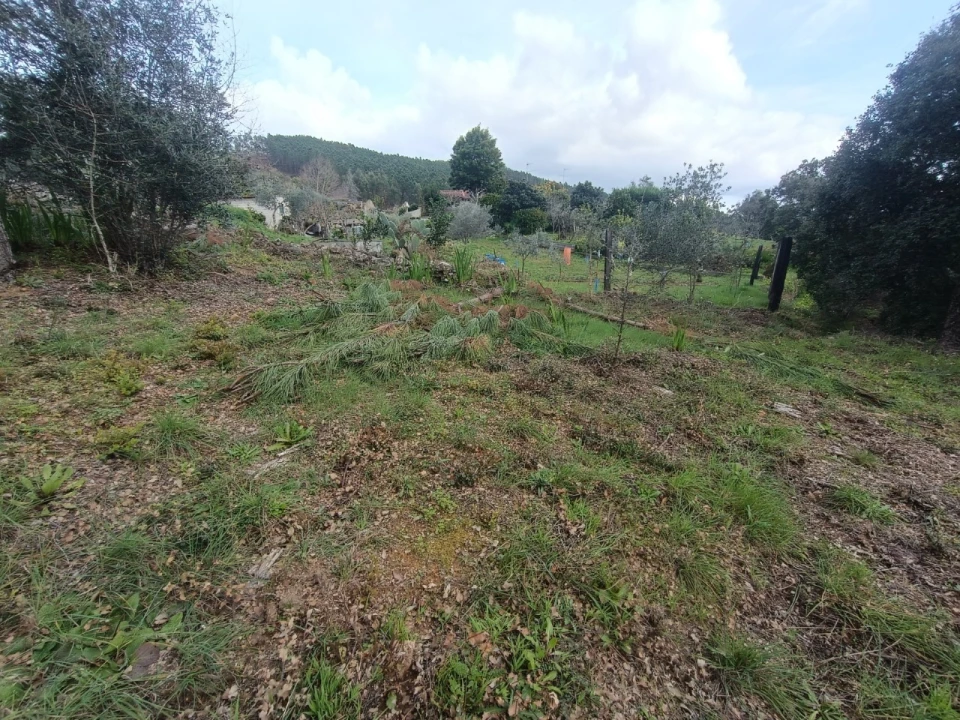 Quinta T3 para Venda em Santiago de Montalegre Foto 30
