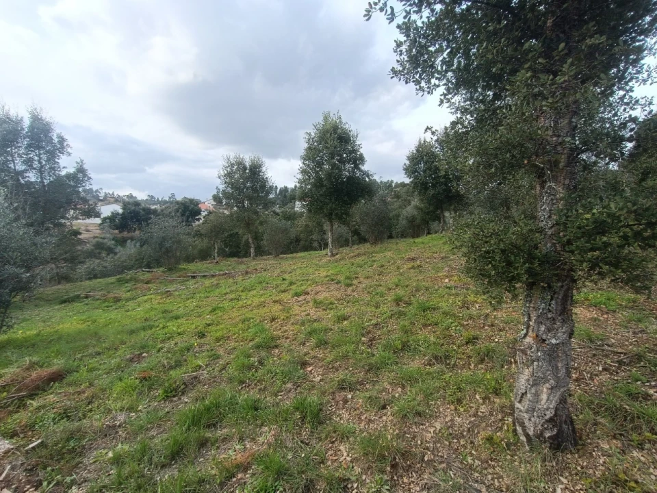 Quinta T3 para Venda em Santiago de Montalegre Foto 31