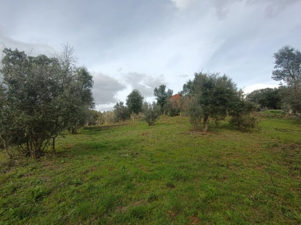 Quinta T3 para Venda em Santiago de Montalegre Foto 32