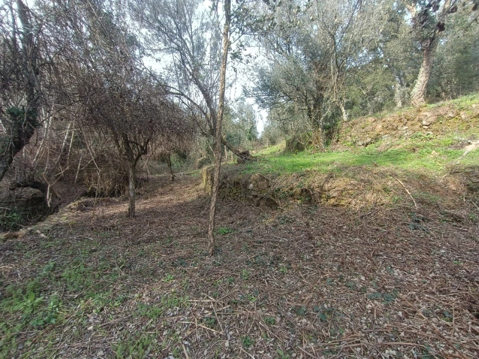 Quinta T3 para Venda em Santiago de Montalegre Foto 38