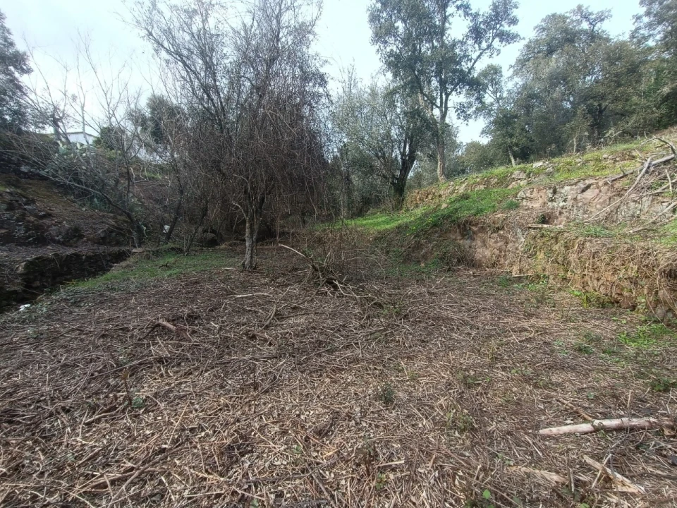 Quinta T3 para Venda em Santiago de Montalegre Foto 40