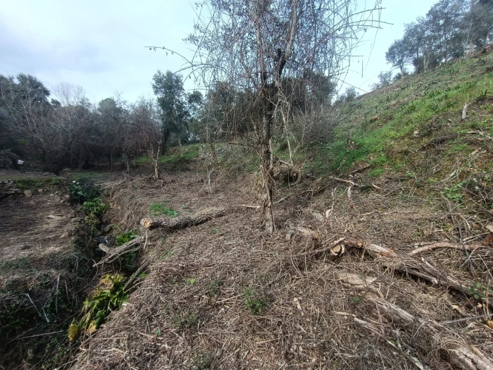 Quinta T3 para Venda em Santiago de Montalegre Foto 42