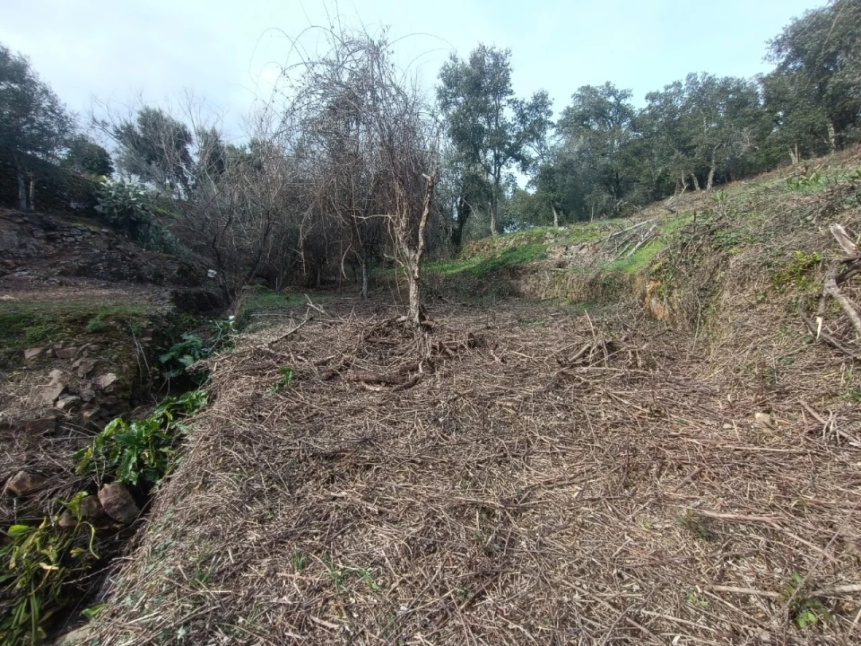 Quinta T3 para Venda em Santiago de Montalegre Foto 46
