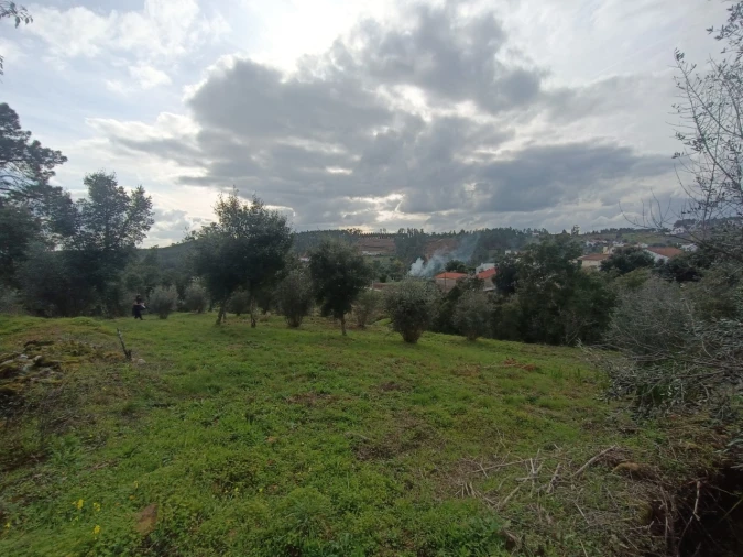 Quinta T3 para Venda em Santiago de Montalegre Foto 24