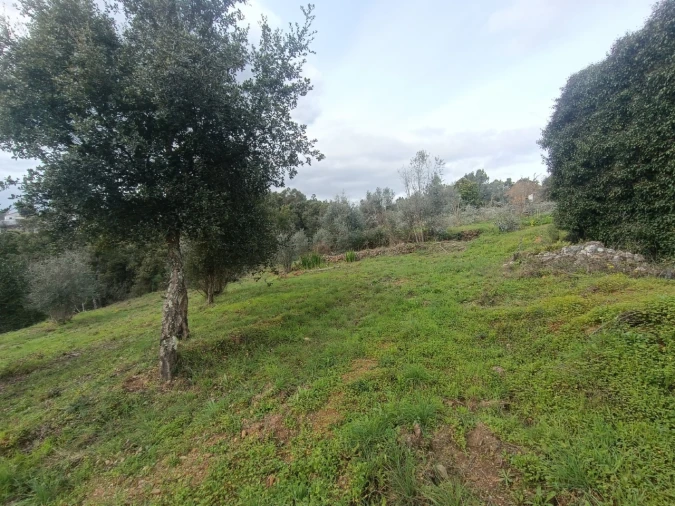 Quinta T3 para Venda em Santiago de Montalegre Foto 25