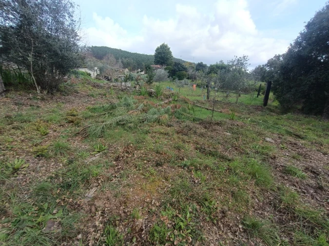 Quinta T3 para Venda em Santiago de Montalegre Foto 30