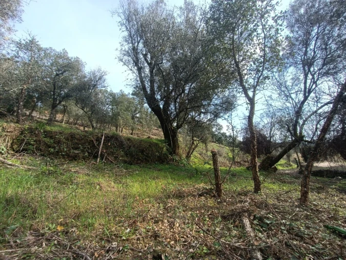 Quinta T3 para Venda em Santiago de Montalegre Foto 33