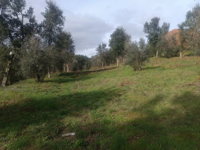 Quinta T3 para Venda em Santiago de Montalegre Foto 36