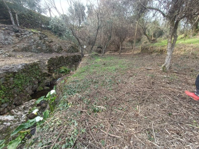 Quinta T3 para Venda em Santiago de Montalegre Foto 39