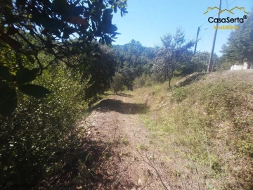 Terreno para Venda em Sertã