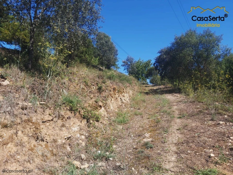Terreno para Venda em Sertã Foto 7