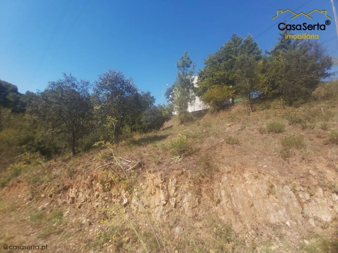 Terreno para Venda em Sertã Foto 12
