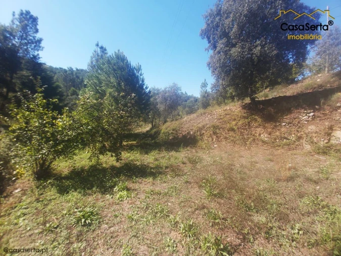 Terreno para Venda em Sertã Foto 8