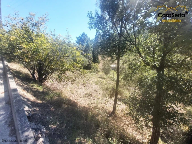 Terreno para Venda em Sertã Foto 3
